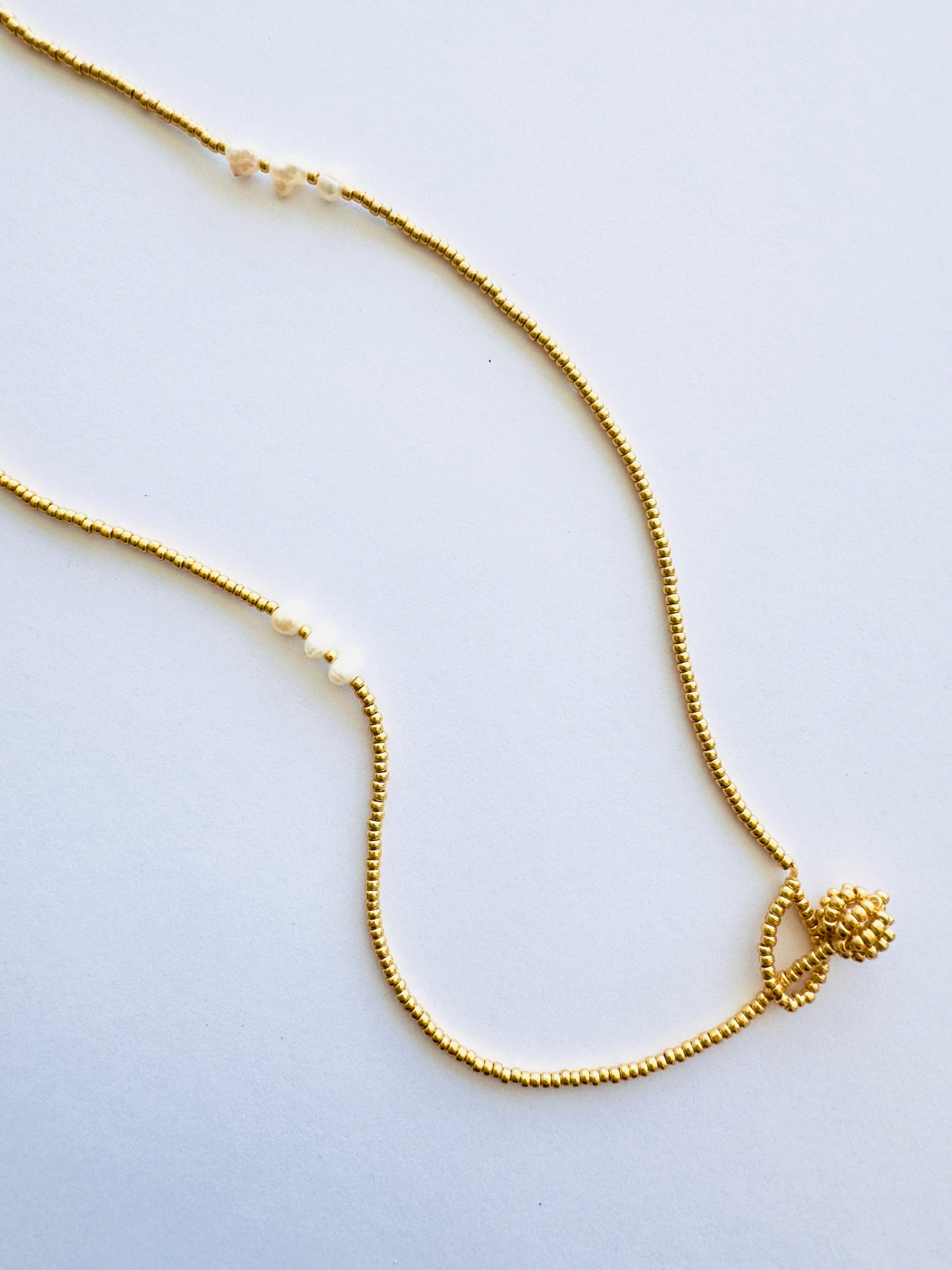 COLLAR SALTA RANA